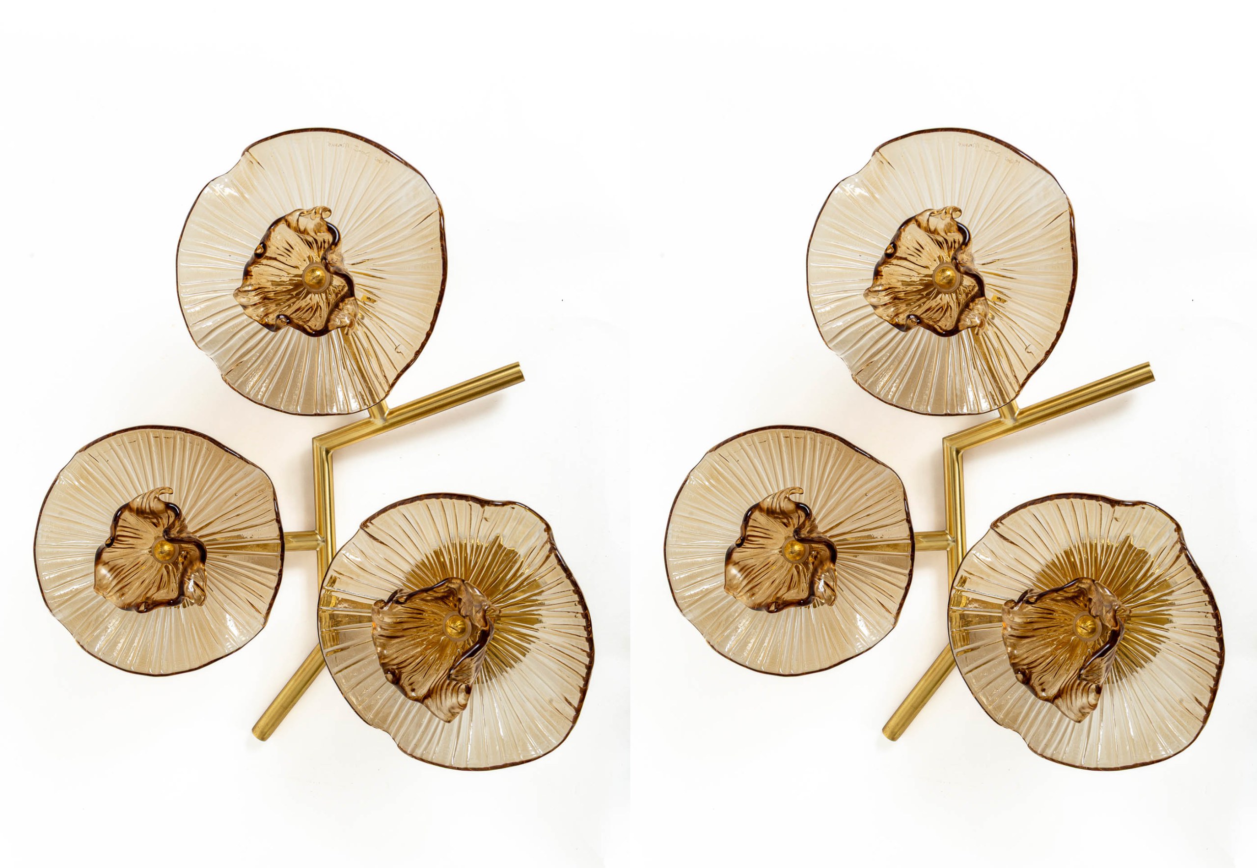 Pair Of Organic Modern Murano Floral Wall Lights, Contemporary